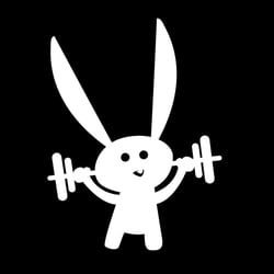 Why I’m a happy gym bunny again
